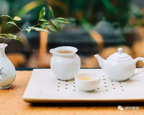 弘泰金融外包服务面试会 把握机遇，在金融外包服务领域扬帆起航